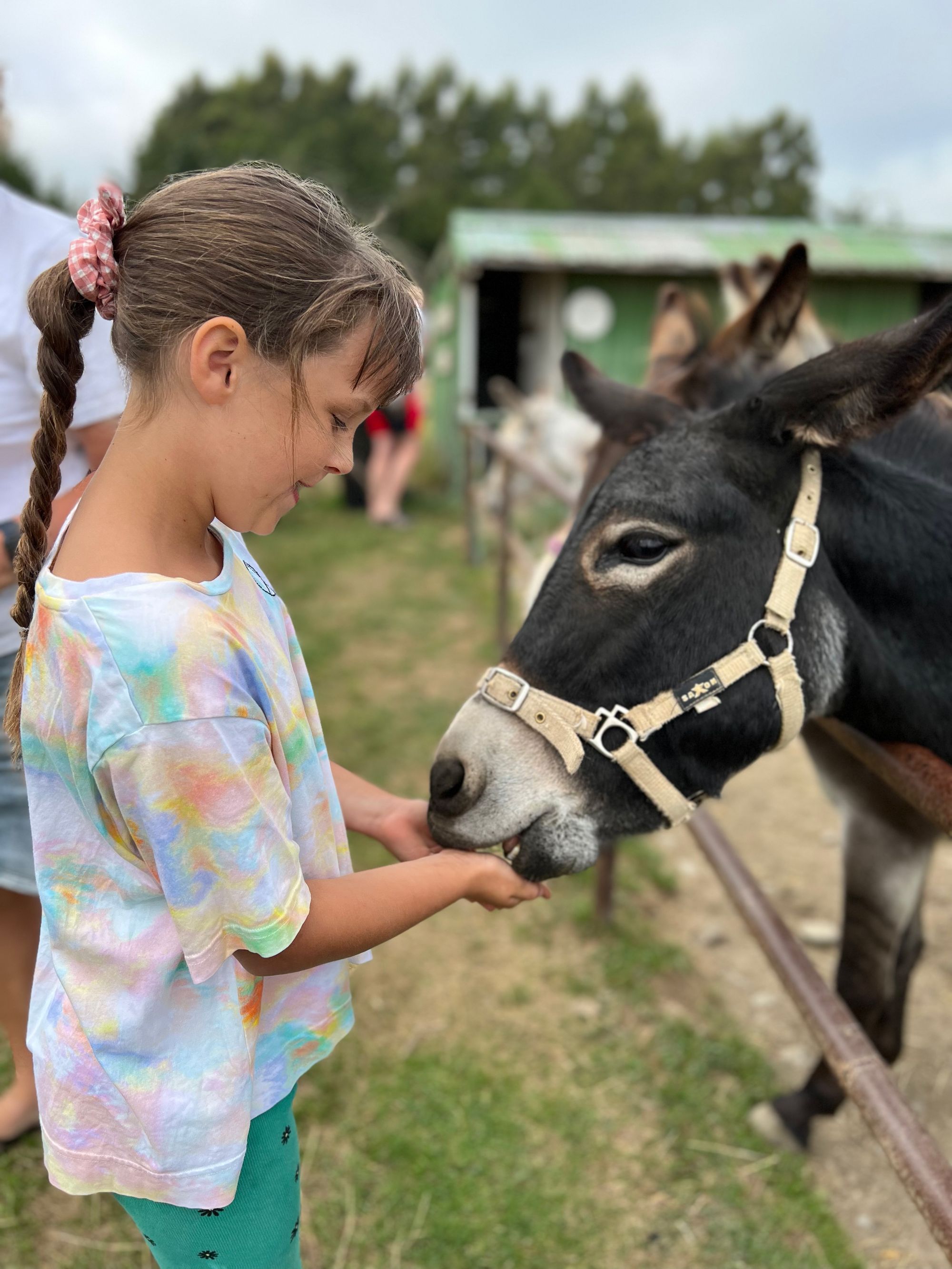 Opening Our Roadschool