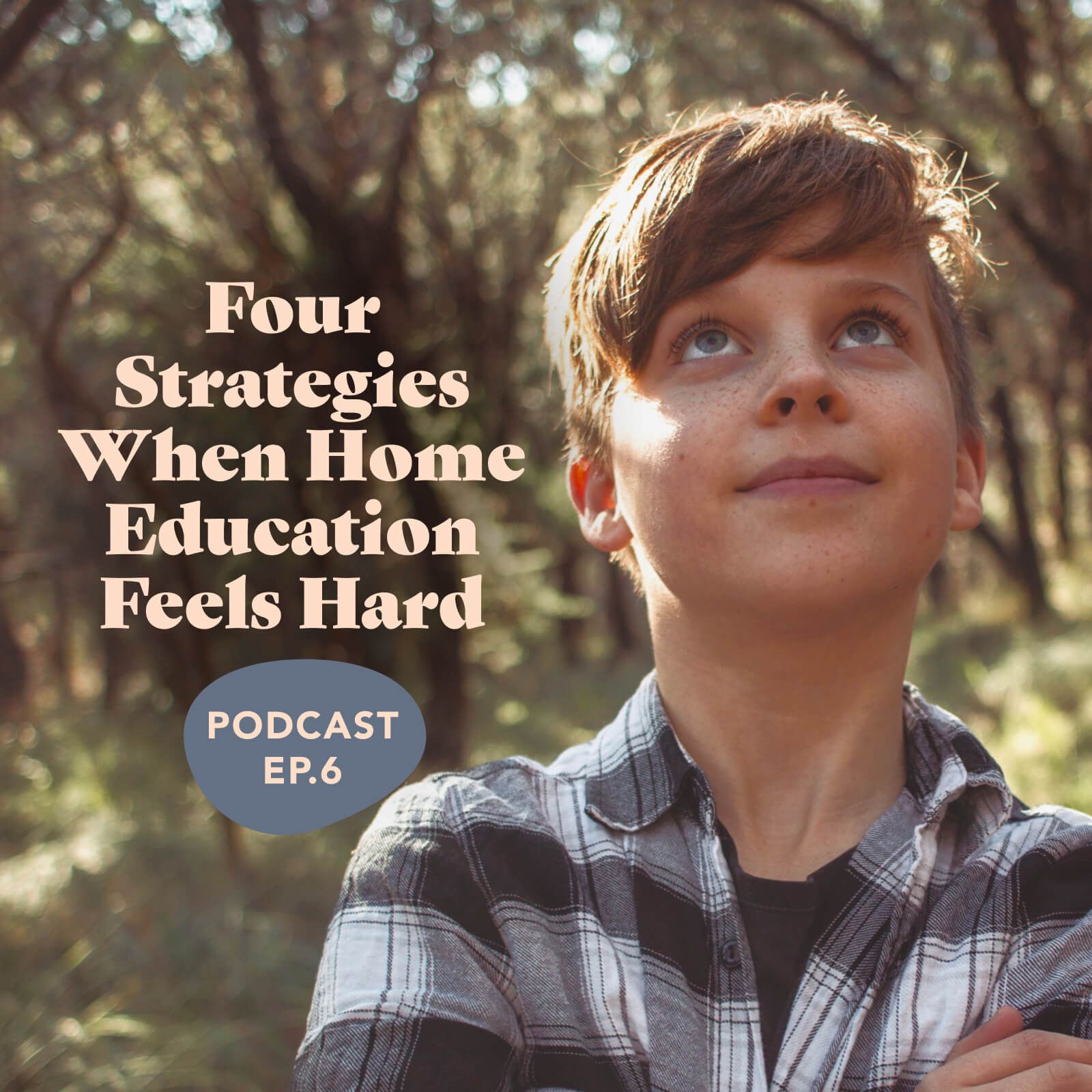 Episode 6: Four Strategies For When Home Education Feels Hard