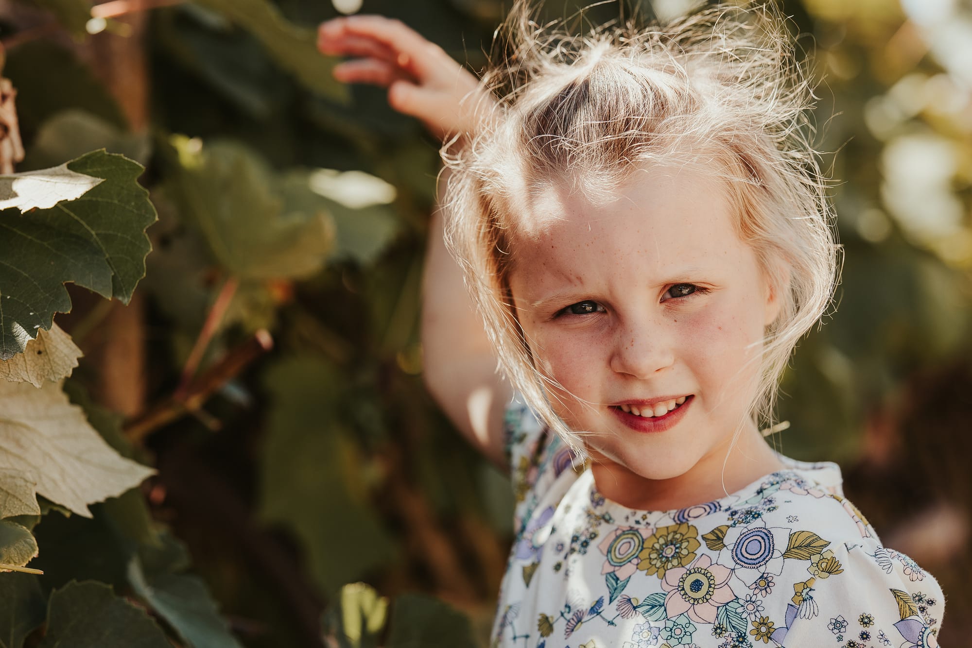 A curriculum isn’t what you think it is