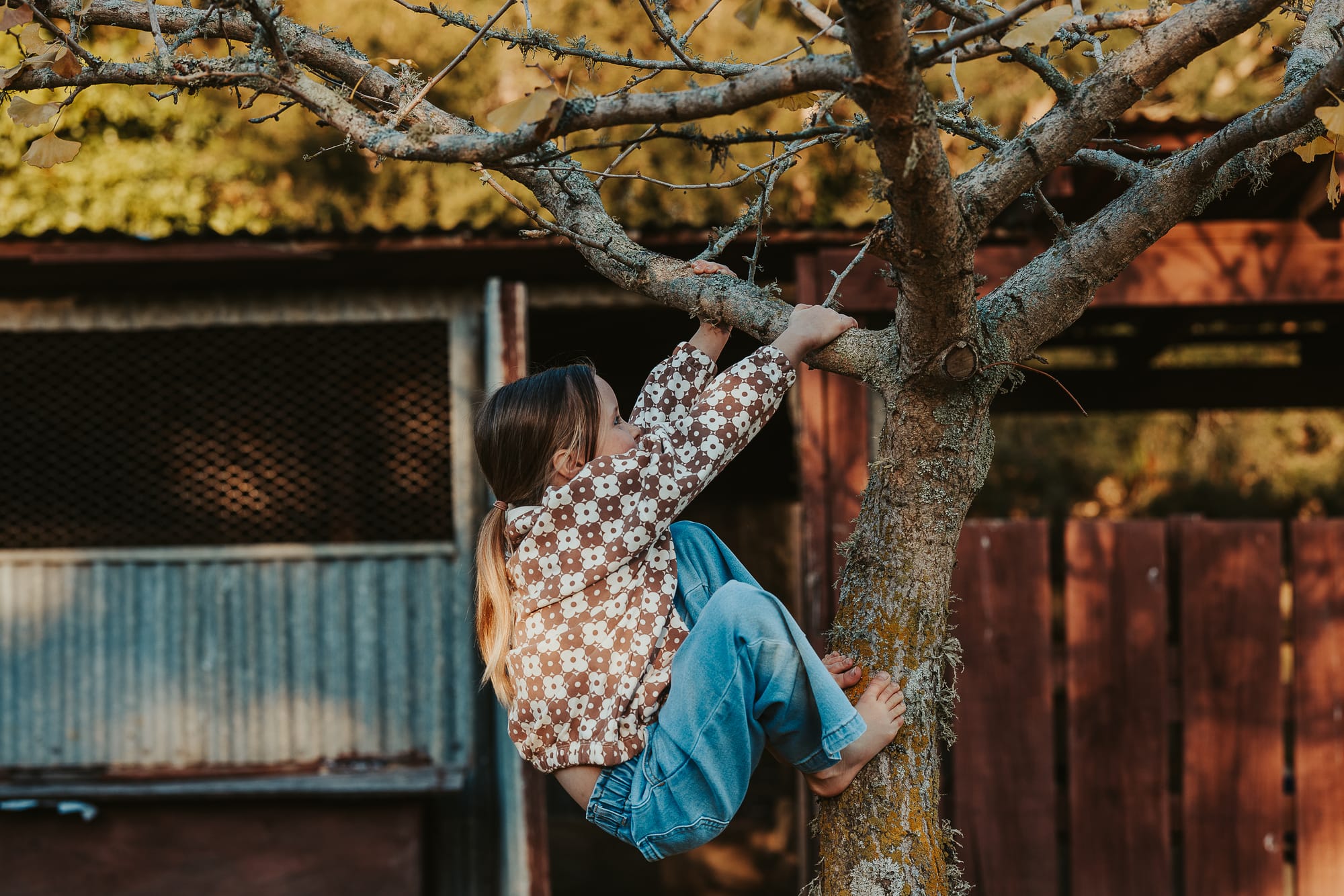 The myth of the self-directed child, Part One (why freedom isn’t enough) 🎙️