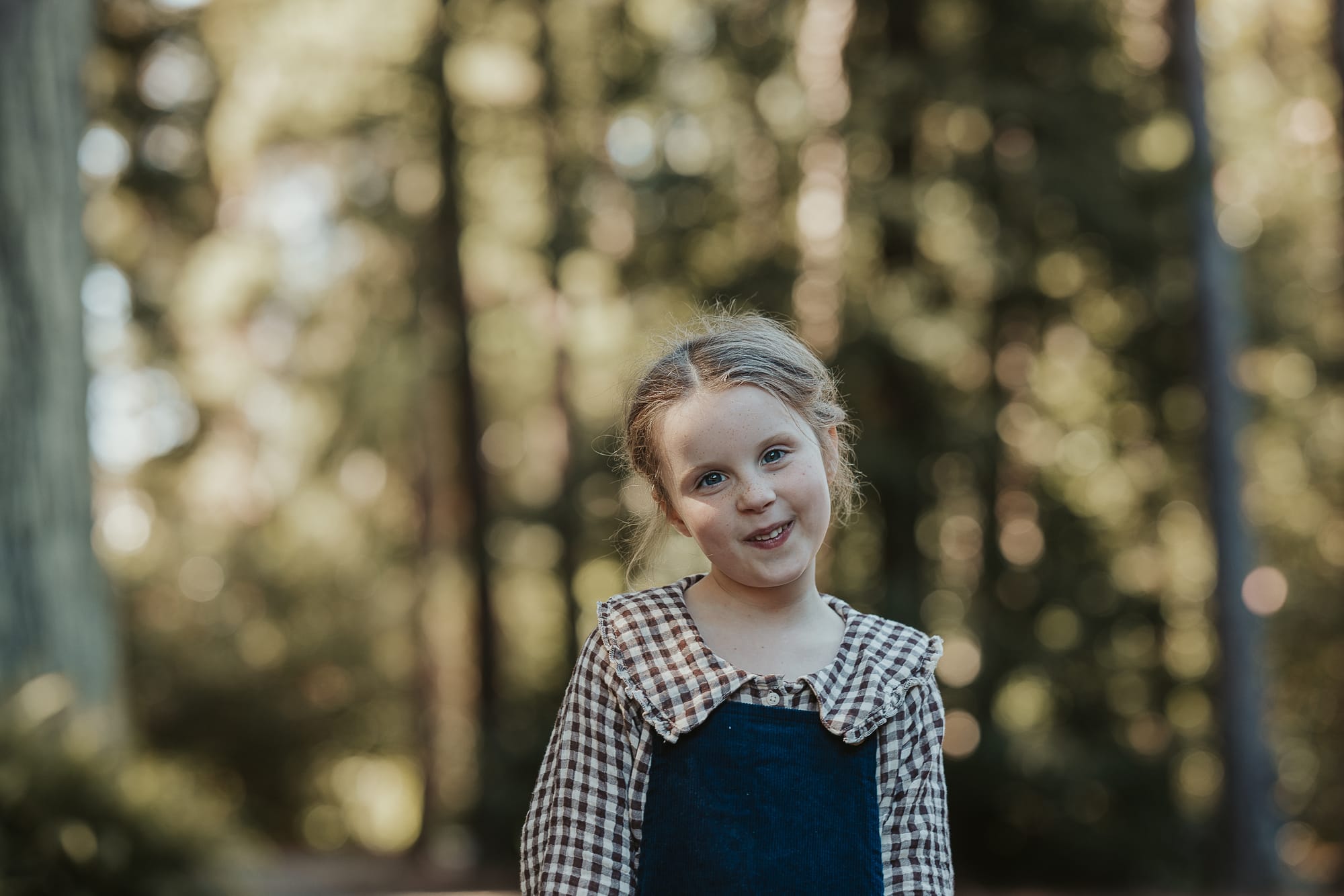 The Complete Life Without School Collection 📚